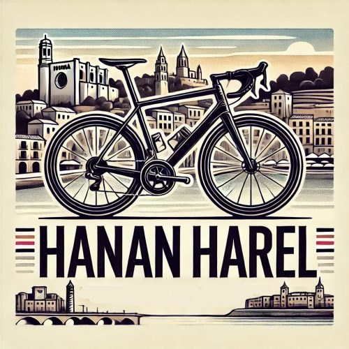 Hanan Harel